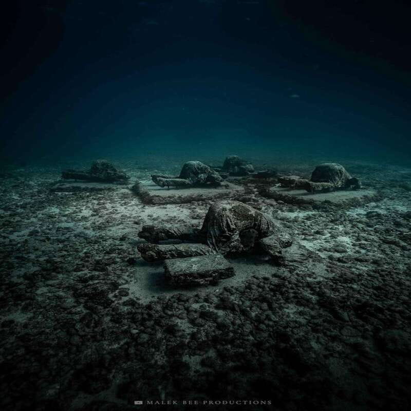 Isla Mujeres: MUSA and the Manchones Reef: 2 Tank Dive Tour - The Two-Tank Timing: One Hour Each, a Real Break, and Better Focus