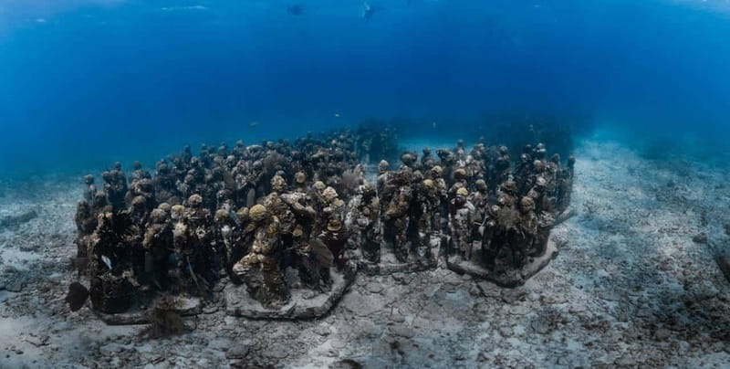 Isla Mujeres: MUSA and the Manchones Reef: 2 Tank Dive Tour - Who Should Book This, and Who Should Skip It