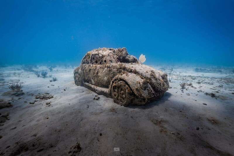 Isla Mujeres: MUSA and the Manchones Reef: 2 Tank Dive Tour - The Boat-to-Water Plan: What Your 4.5 Hours Actually Looks Like