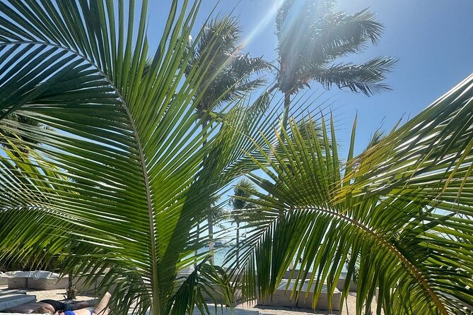 Isla Mujeres Plus Tour with Snorkeling Buffet and Open Bar - Playa Norte Beach Club: The Buffet Break That Feels Like a Vacation
