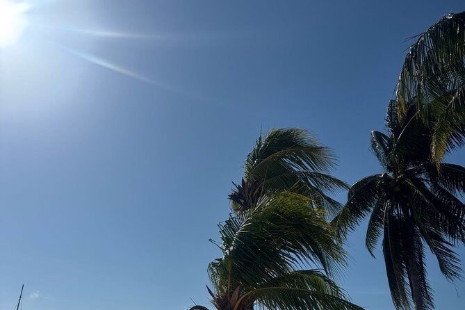 Isla Mujeres Plus Tour with Snorkeling Buffet and Open Bar - Isla Mujeres Sunset Sailing: Music, Drinks, and Coastal Views
