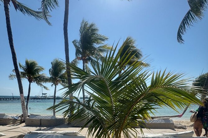 Isla Mujeres Plus Tour with Snorkeling Buffet and Open Bar - Food, Drinks, and Service: Where the Value Shows Up