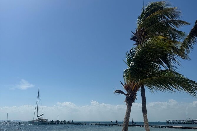 Isla Mujeres Plus Tour with Snorkeling Buffet and Open Bar - Arrecife El Meco Reef: Colorful Fish and Reef Sculptures