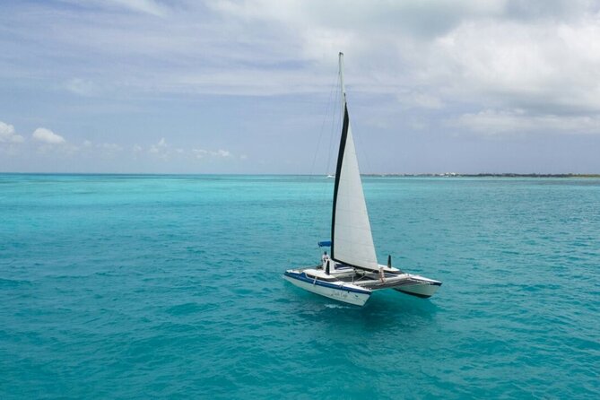 Isla Mujeres Premium Tour in Catamaran with Snorkel and Buffet - Snorkel at Arrecife El Meco: fish, reef sculptures, and a plan B mindset