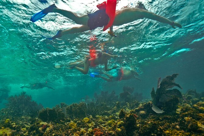 Isla Mujeres, Snorkel, Lunch & Pick Up from Cancun to P.Morelos - Punta Sam start: check-in, light breakfast, and the first sail