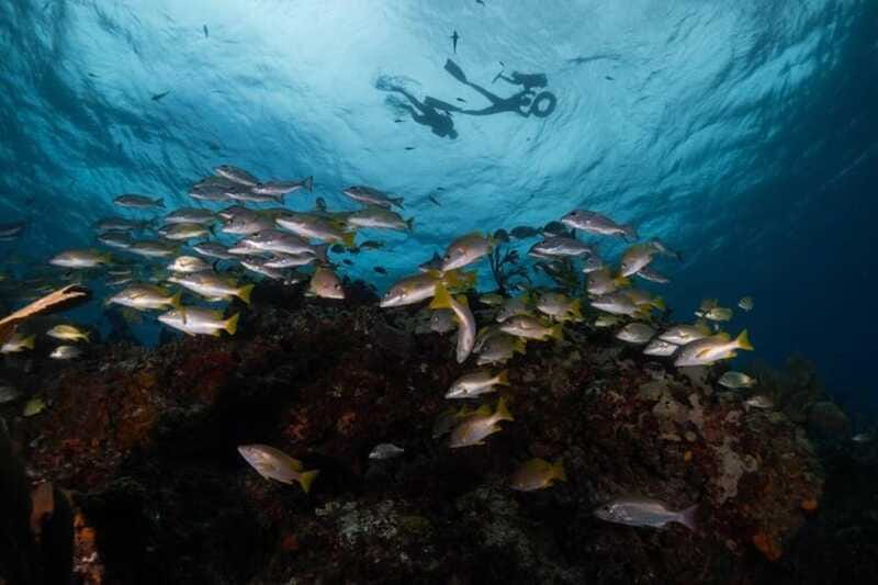 Isla Mujeres: Snorkel Tour at Musa and Manchones Reef - When waves and wind get involved: how to stay comfortable
