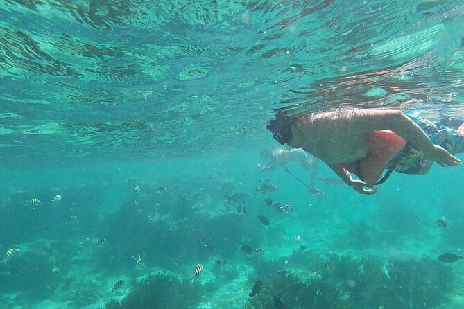 Isla Mujeres Snorkeling Adventure at the Underwater Museum - Why this Isla Mujeres snorkeling + MUSA mix feels special