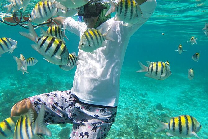 Isla Mujeres Snorkeling Adventure at the Underwater Museum - Gear, motion sickness, and the “boat-to-water” reality