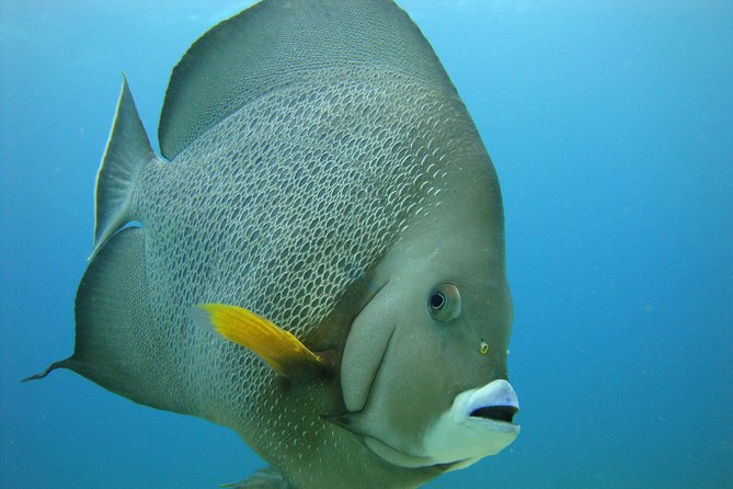 Isla Mujeres Snorkeling Tour - Gear That Fits, Plus a Crew That Keeps It Smooth
