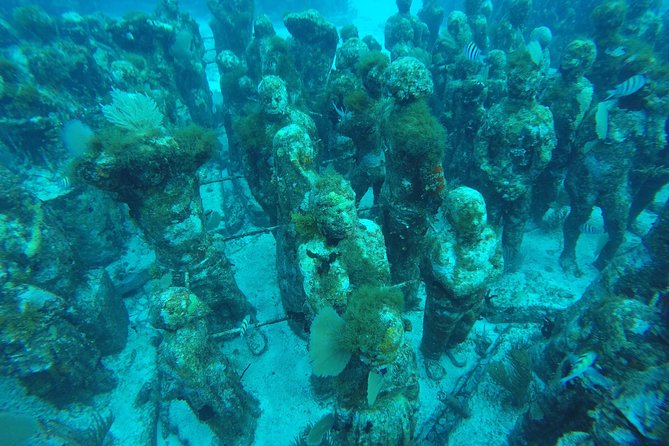 Isla Mujeres Snorkeling Tour Adventure - Safety, Gear, and Beginner Expectations (What You Should Really Plan For)