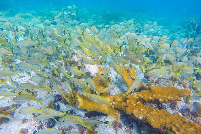 Isla Mujeres Snorkeling Tour Adventure - How the Boat Ride Can Change Your Experience