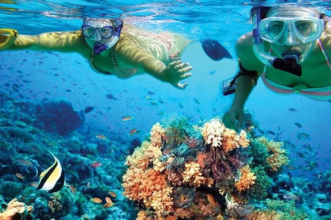 Isla Mujeres tour in a Catamaran with snorkel, open bar, lunch - Where You Meet the Boat: The Marina Las Perlas Headache You Can Avoid