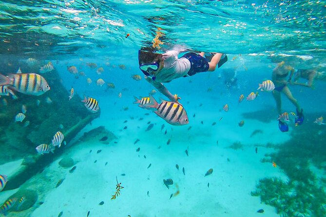 Isla Mujeres Tour, Snorkel and Golf Cart included - Snorkeling at a Shipwreck: What You Get (and What to Aim For)