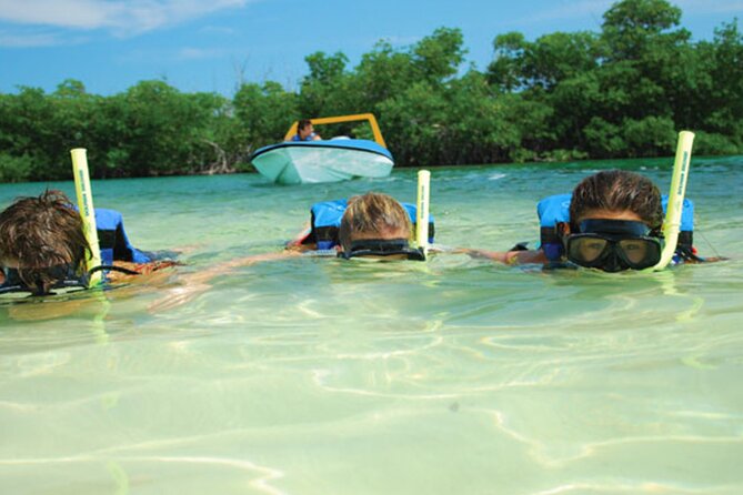 Jungle Tour Adventure in Cancun with Snorkeling - Stop 3: Cancun Snorkeling Stop for Mayan Reef (About 30 Minutes)