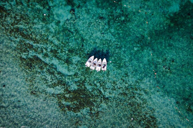 Jungle Tour & Snorkel at Punta Nizuc Reef , Underwater museum - Punta Nizuc Reef and the Underwater Museum: what you’re really going to see