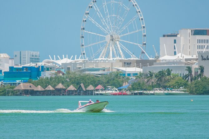 Jungle Tour & Snorkel at Punta Nizuc Reef , Underwater museum - Jungle Tour Barracuda: driving through mangroves is half the fun