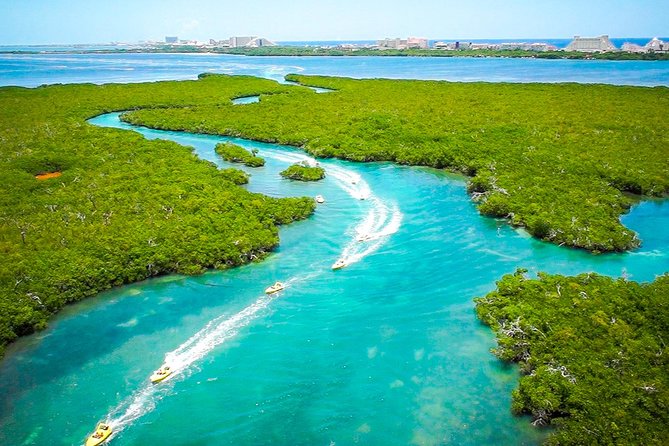 Jungle Tour with Snorkel in Cancun - Speedboats Through the Nichupte Lagoon: What You Actually Drive