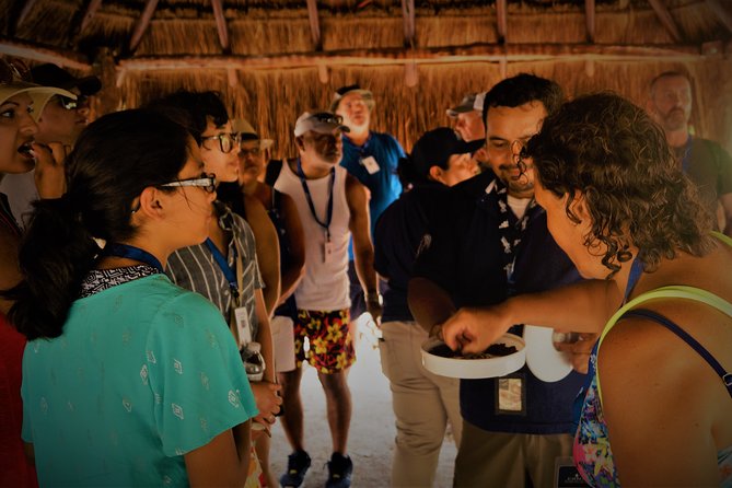 Kaan Luum & Cenotes Mayan Traditions - Logistics that make or break a day like this