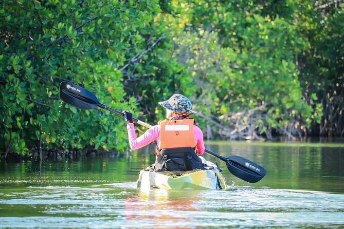 Kayak Adventure in Cancun - Wildlife spotting that actually works: birds, ears, and a self-challenge