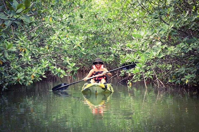 Kayak Adventure in Cancun - Price and value: what $47.73 really buys you