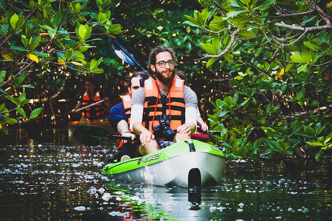 Kayak Adventure in Cancun - Entering the mangrove forest: what the first minutes feel like