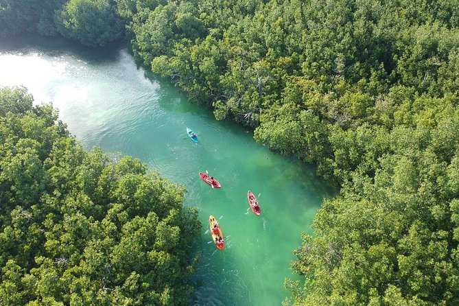 Kayak adventure through Laguna Nichupté in Cancun - Entering The Kayak Setup: What’s Included and What It Changes