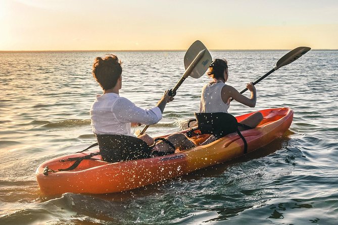 Kayak adventure through Laguna Nichupté in Cancun - Guides, Pace, and Group Size: Why It Feels Personal