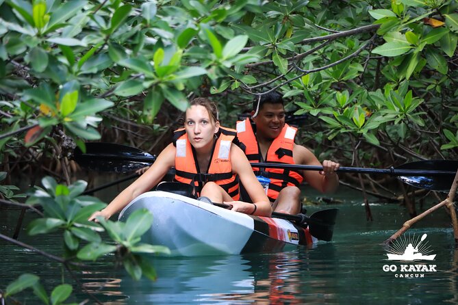 Kayak Tour at Sunset in Cancun - The 2-hour ride through mangroves: how the experience usually feels
