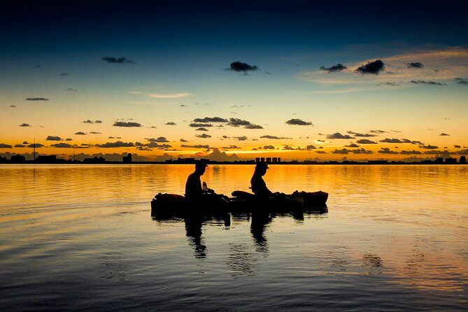 Kayak Tour at Sunset in Cancun - What you’ll see: birds, fish, and mangrove nature you can actually notice