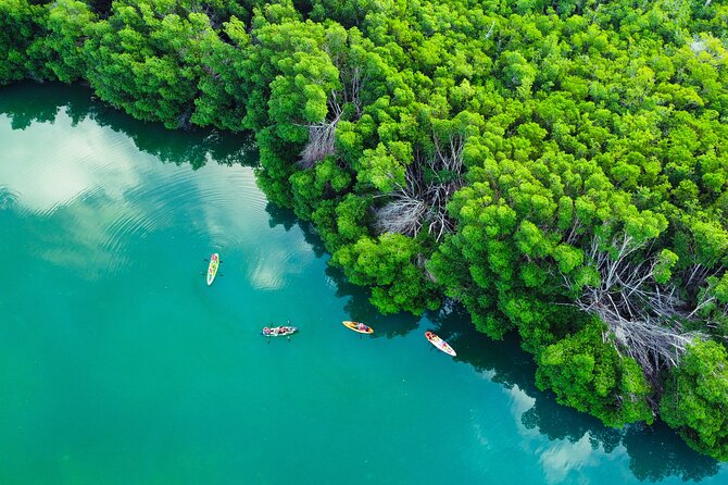 Kayak Tour at Sunset in Cancun - Small group size: why max 8 matters on a kayak