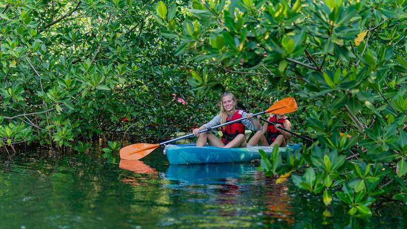 Kayak Tour in Cancun with Photos included - Nichupté Lagoon: the Cancun side you don’t see from the beach