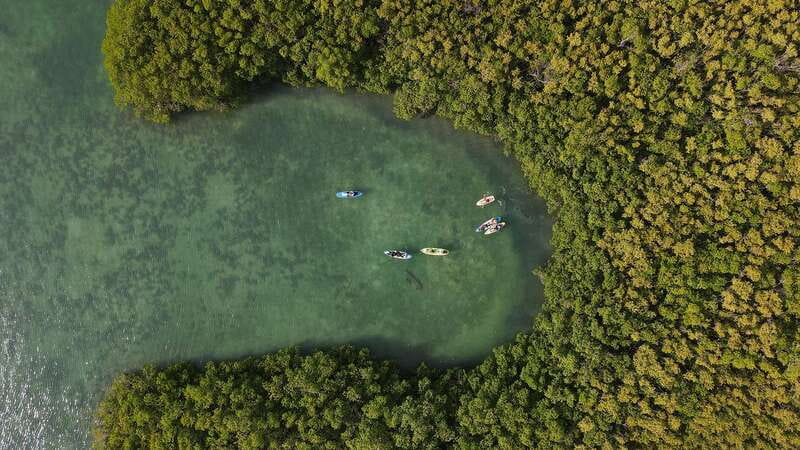 Kayak Tour in Cancun with Photos included - Safety briefing and gear: what’s provided, and why it helps