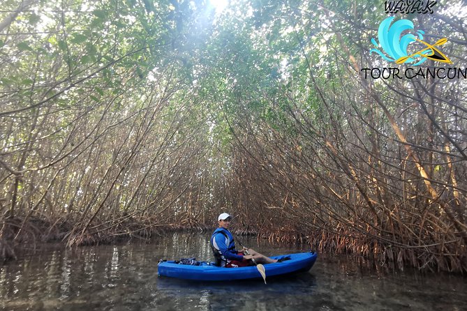 Kayak TOUR POR Laguna Nichupte Cancun - Price and Value: What $38 Buys You in Cancun