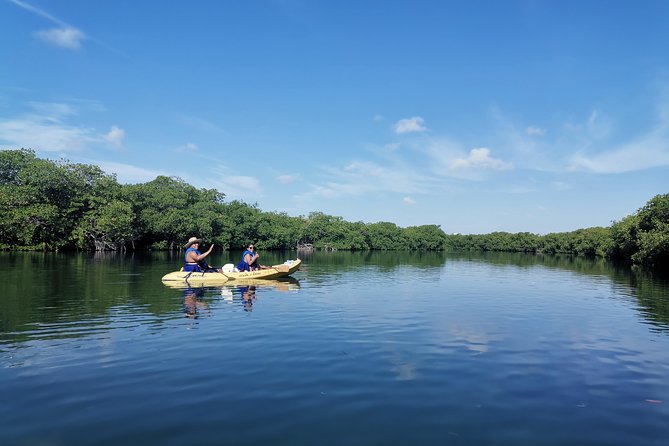 Kayak TOUR POR Laguna Nichupte Cancun - Fitness Level: How Hard Is the Paddle, Really?