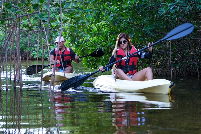 Kayaking Tour in Cancun - What the 2.5-hour rhythm feels like from start to finish