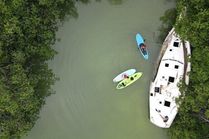 Kayaking Tour in Cancun - Getting the most from your guide: how the trip becomes more than paddling