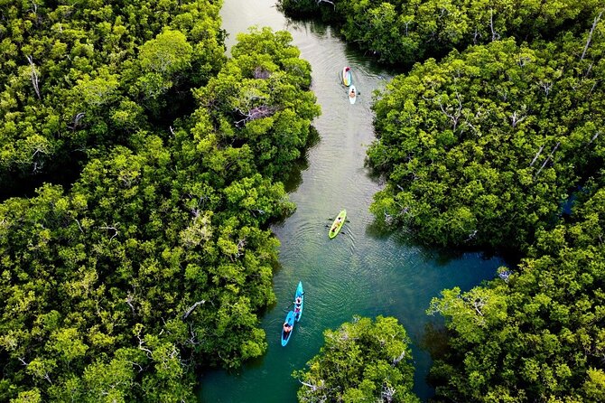 Kayaking Tour in Cancun - Value check: what you’re really paying for