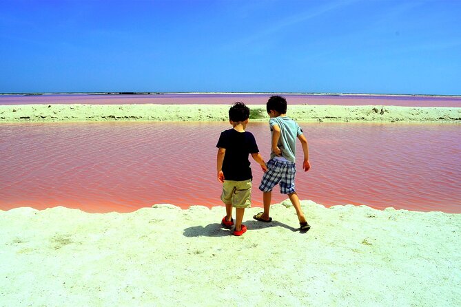 Las Coloradas and Rio Lagartos Tour with All Inclusive - Quick highlights (what makes this tour worth your time)