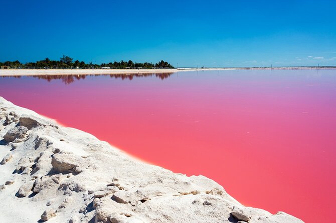 Las Coloradas and Rio Lagartos Tour with All Inclusive - Who should book this tour (and who should think twice)
