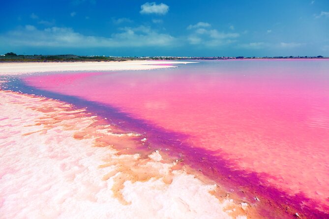 Las Coloradas and Rio Lagartos Tour with All Inclusive - Should you book Live&Travel Tours for Las Coloradas and Rio Lagartos?