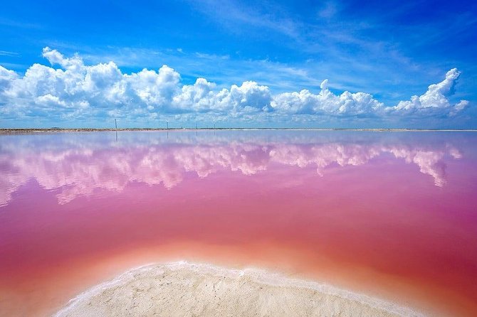 Las Coloradas Pink Lakes & Río Lagartos Wildlife Tour - Comfort and transportation: air-conditioned buses, cramped moments, and what to bring