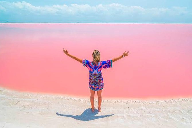 Las Coloradas Pink Lakes & Río Lagartos Wildlife Tour - Price and logistics: is $135 a good deal?