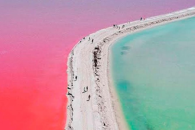 Las Coloradas & Rio Lagartos Tour from Cancún - Who This Tour Fits Best (and Who Should Pass)