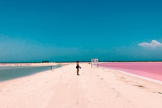 Las Coloradas Tour! Boat Ride, Lunch & Rio Lagartos from Cancun - Food and comfort: box lunch, restaurant meal, and what you’re really getting
