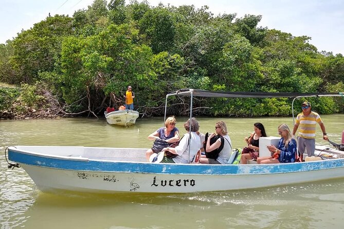 Las Coloradas Tour! Boat Ride, Lunch & Rio Lagartos from Cancun - Who should book this Las Coloradas and Rio Lagartos day trip