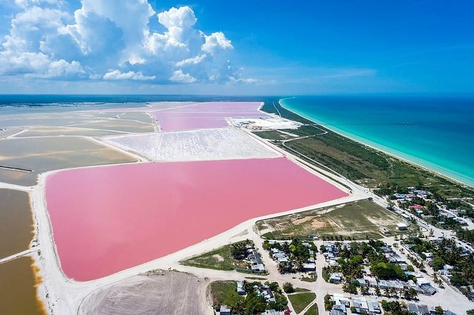 Las Coloradas Tour from Cancun and Playa del Carmen - Lunch + Road Snacks: What Your Day’s Eating Looks Like