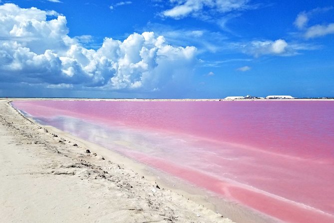 Las Coloradas Tour from Cancun and Playa del Carmen - Crocodile Conservation Center: A Quick Stop With Real Purpose