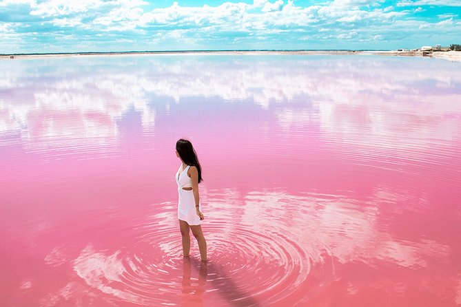 Las Coloradas Tour from Cancun and Playa del Carmen - What to Bring: Swimwear, Sunscreen, and Bug Control