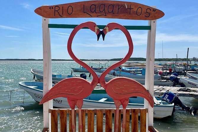 Las Coloradas Tour to Pink Lakes and Wildlife Wonders - The Meal Plan Between Wildlife Stops: Box Lunch Plus One Choice