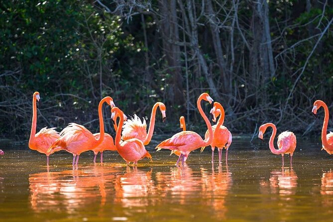 Las Coloradas Tour to Pink Lakes and Wildlife Wonders - Crocodile Farm Visit: See It, But Keep Expectations Real